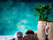 Tips Menyeduh Kopi yang Betul dan Nikmat