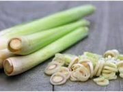 Tips Mengusir Nyamuk dengan Bahan Alami