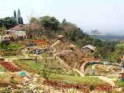 Agrowisata Jolong, Menikmati Bukit dan Lembah Perkebunan Sambil Ngopi