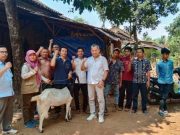 Hewan Ternak Membutuhkan Variasi Pakan Bernutrisi, Junarso: Fermentasi Jadi Opsi