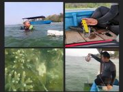 Pembangkitan Energi dan Keberlanjutan Lingkungan, Komitmen PLTU Tanjung Jati B untuk Kelestarian Perairan