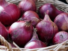 Dianggap Tidak Berguna, Tapi Taukah Kamu Manfaat Kulit Bawang Bagi Kesehatan? Yuk Simak…