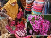 Parijatha, Buah Eksotis yang Bermanfaat untuk Kesehatan