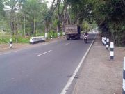 Diduga Korban Tabrak Lari, Sesosok Mayat Ditemukan Tidak Utuh Di Tengah Jalan tabrak lari