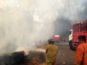 Hutan Gunung Pegat di Jalur Wonogiri-Pacitan Terbakar