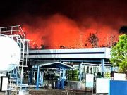 Api Berkobar Lagi di Hutan Gunung Pegat Jalur Wonogiri-Pacitan