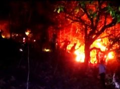 Kebakaran Hutan Gunung Salam, Seorang Relawan Meninggal