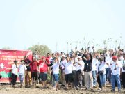 Narasi Ekologis KPU Jepara dengan Gerakan Penanaman Bibit Mangrove