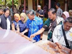 Peluang Pasar Ekspor Komoditas Kakao Masih Terbuka