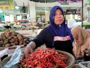 Kemarau Belum Usai, Harga Cabai di Batang Kian Meroket