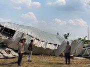 Angin Puting Beling Terjang Kandang Ayam di Todanan Blora, Seorang Terluka