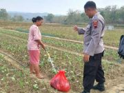 Bhabinkamtibmas Imbau Warga Karang Bogorejo Soal Kamtibmas hingga Bahaya Kebakaran