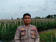 Bripka Achmad Nur Kholik Tanam Cabe di Lahan Tadah Hujan, Hasilnya untuk Biaya Anak