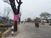 Bandel, Flyer Operator Seluler Dipaku di Pohon-Pohon Sepanjang Pantura