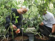 Pemimpin Masa Depan Harus Fokus pada Ketahanan Pangan