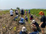 Begini Tanggapan Mahasiswa Asing saat Menanam Bibit Mangrove di Kelurahan Mangunharjo Semarang