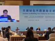 Indonesia-Tiongkok Perlu Rumuskan Kemitraan Pembiayaan Transisi Energi di KTT Belt and Road Initiative