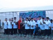Panen Bawang Merah di Lahan MAJT, Dispertan Kota Semarang Libatkan Masjid dalam Urban Farming