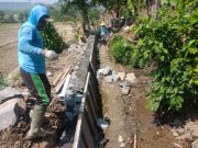 Rampung Lakukan Rehabilitasi Jaringan Irigasi, Pemkot Semarang Bantu Tingkatkan Hasil Panen Petani