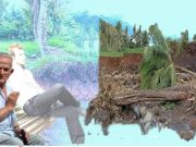Menghanyutkan Impian