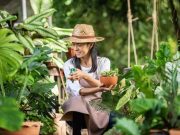 Dapat Mengembalikan Suasana Hati, Ini 5 Keuntungan Berkebun Bantu Jaga Kesehatan Jiwa dan Raga
