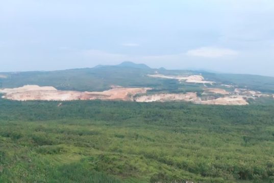 Bukit Pencu Menyajikan Pemandangan Indah di Perbatasan Jateng-Jatim