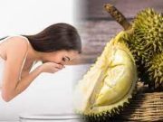 Tips Memakan Buah Durian Agar Tidak Mabok