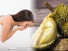 Tips Memakan Buah Durian Agar Tidak Mabok