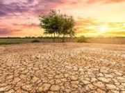 Tips Merawat Kulit Ketika Cuaca Panas