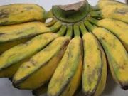 Tips Memilih Buah Pisang Dilihat dari Kulitnya