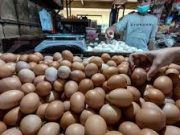 Tips Memilih Telur yang Bagus
