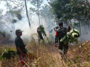 Kebakaran Lahan Kembali Terjadi, Hampir Merembet ke Perkampungan
