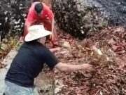 Waspada Terhadap Ancaman Bencana di Musim Pancaroba