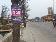 Flyer Iklan Masih Banyak Tertancap di Pohon Pantura Semarang-Demak