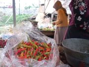 Keluhan Pedagang, Pemerintah Sibuk Ngurus Capres Lupa Ngurus Harga Cabai