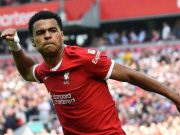 Selalu Siap Main di Posisi Mana Pun