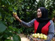 Program Pemberdayaan Bumi Kartini Semen Gresik Berhasil Dorong Penghasilan Warga Hingga Jutaan Rupiah