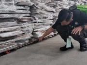 Rawan Diserbu Serangga, Gudang KPU Batang Disemprot Cairan Khusus
