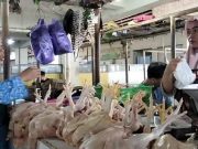 Jelang Natal dan Tahun Baru, Harga dan Stok Daging Aman