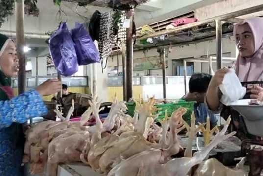 Jelang Natal dan Tahun Baru, Harga dan Stok Daging Aman