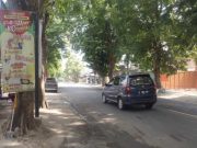 Flyer Operator Seluler Nasional dan Promo Lainnya Dipaku di Pohon-Pohon Pinggir Jalan Blora