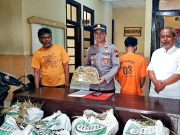 Pencuri Padi Diamankan Polsek Muntilan