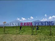 New Sabana Rawa Pening, Sebuah Keajaiban saat Air Danau Mengering