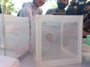 Antisipasi Penolakan, Pemkot Semarang Gencarkan Sosialisasi Penggunaan Nyamuk Wolbachia