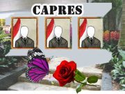 Mendeteksi Calon Gagal atau Jadi (II-Habis)