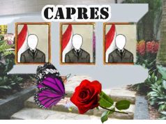 Mendeteksi Calon Gagal atau Jadi (II-Habis)
