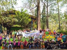 Wujud Cinta Lingkungan, Siswa SDUT Bumi Kartini Tanam Mangrove