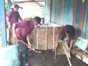 Poktan di Blora Diminta DP4 Buat Pupuk Organik dari Tlethong Sapi