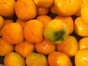 Tak Banyak Orang Tahu, Ini Manfaat Buah Kesemek yang Ampuh Untuk Asam Lambung