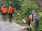Meminimalisasi Dampak Bencana, Ini yang Dilakukan Babinsa Bersama Warga
